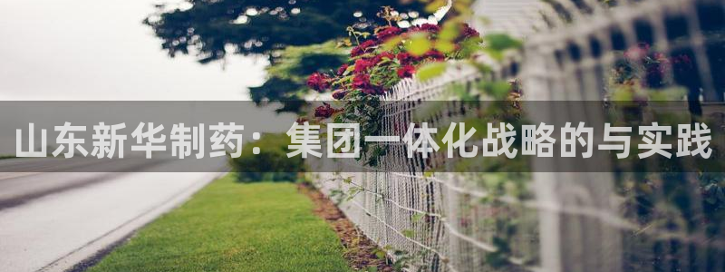 九游老哥俱乐部登录：山东新华制药：集团一体化战略的与实践