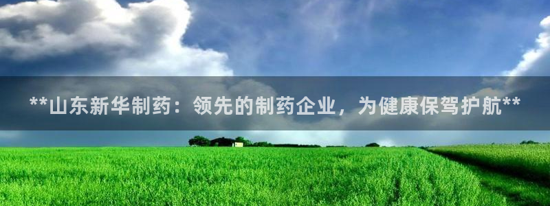 老哥俱乐部是干什么的：**山东新华制药：领先的制药企业，为健康保驾护航**