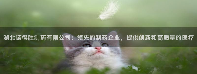 九游会老哥俱乐部必备的交流社区：湖北诺得胜制药有限公司：领先的制药企业，提供创新和高质量的医疗