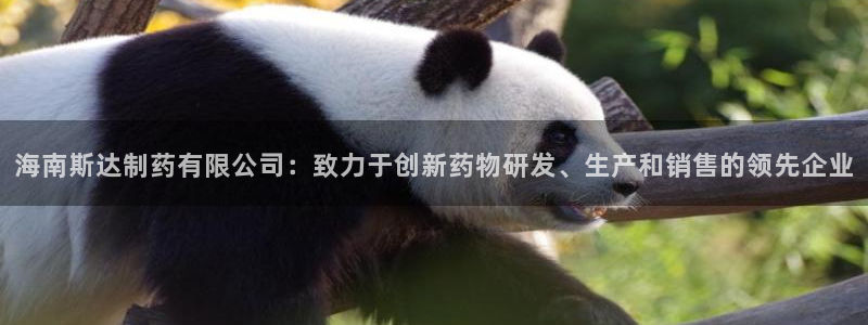 九游会老哥俱乐部社区论坛：海南斯达制药有限公司：致力于创新药物研发、生产和销售的领先企业