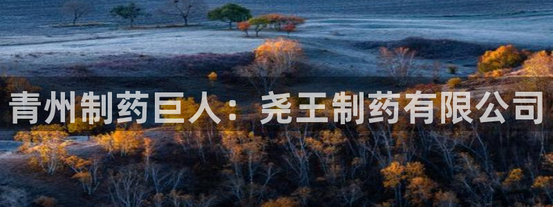 老哥吧九游会：青州制药巨人：尧王制药有限公司