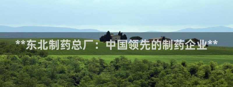 九游会老哥必备的交流社区：**东北制药总厂：中国领先的制药企业**