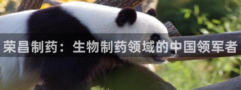 ag九游会老哥俱乐部：荣昌制药：生物制药领域的中国领军者
