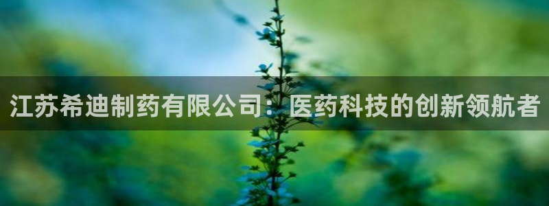 老哥吧九游会：江苏希迪制药有限公司：医药科技的创新领航者
