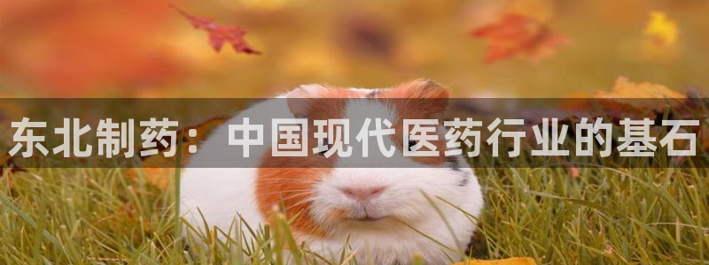 ag九游会老哥俱乐部：东北制药：中国现代医药行业的基石
