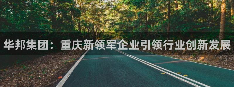 九游老哥俱乐部登录：华邦集团：重庆新领军企业引领行业创新发展