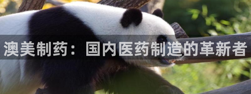 九游会老哥：澳美制药：国内医药制造的革新者