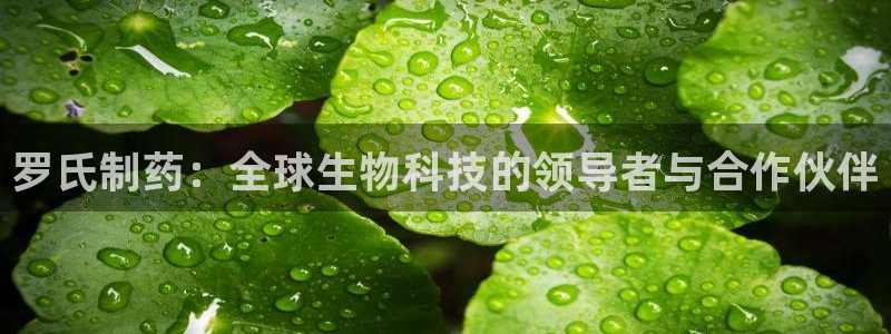 9游会老哥俱乐部：罗氏制药：全球生物科技的领导者与合作伙伴