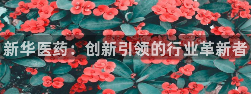 老哥吧九游会：新华医药：创新引领的行业革新者