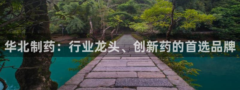 九游会老哥俱乐部官网：华北制药：行业龙头、创新药的首选品牌