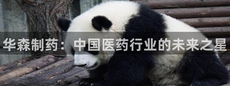 九游老哥俱乐部官网登录不了：华森制药：中国医药行业的未来之星