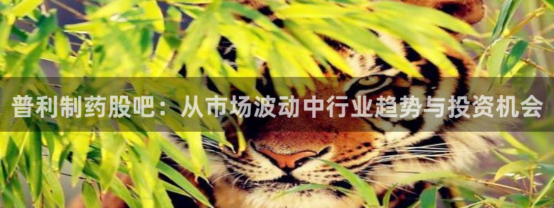 九游老哥俱乐部官网登录：普利制药股吧：从市场波动中行业趋势与投资机会