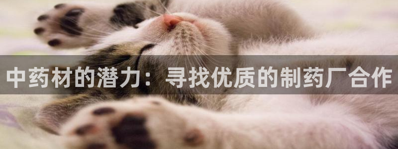 九游会老哥俱乐部官方网站：中药材的潜力：寻找优质的制药厂合作
