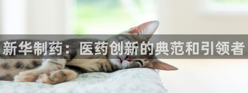 九游会老哥俱乐部必备的交流社区论坛：新华制药：医药创新的典范