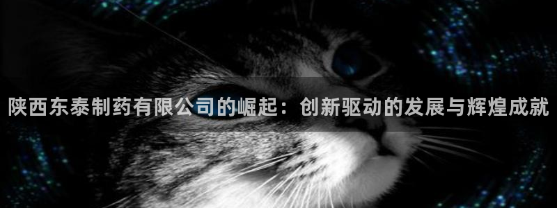 老哥俱乐部是干什么的：陕西东泰制药有限公司的崛起：创新驱动的发展与辉煌成就