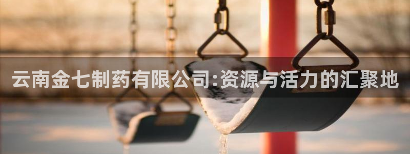 老哥俱乐部是干什么的：云南金七制药有限公司:资源与活力的汇聚地