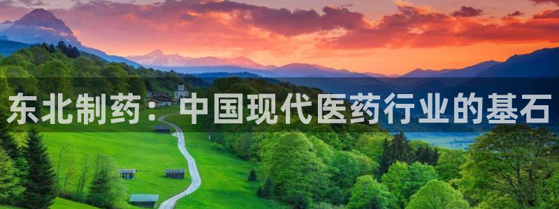 九游老哥俱乐部官网登录不了：东北制药：中国现代医药行业的基石
