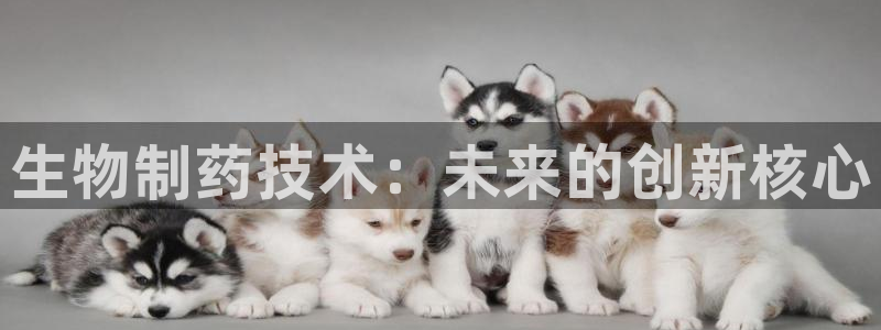 九游会老哥必备的交流社区九：生物制药技术：未来的创新核心