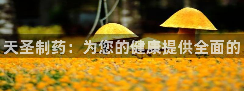 ag九游老哥俱乐部：天圣制药：为您的健康提供全面的