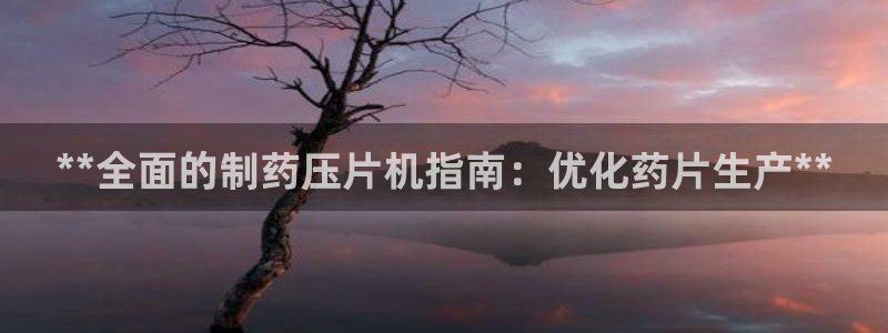 老哥吧九游会：**全面的制药压片机指南：优化药片生产**