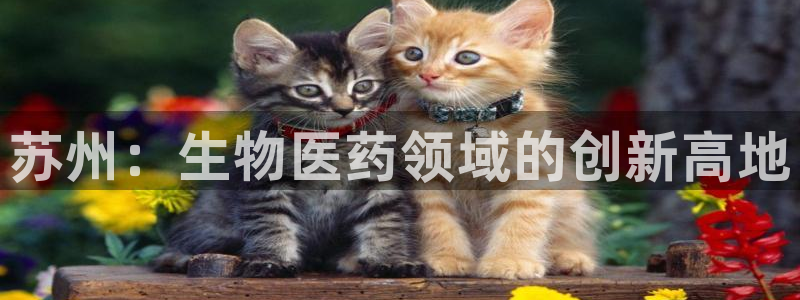九游会老哥必备的交流社区：苏州：生物医药领域的创新高地