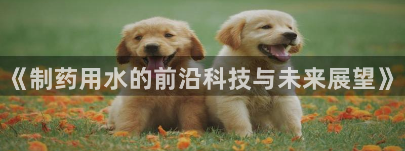 九游会老哥俱乐部官网首页：《制药用水的前沿科技与未来展望》