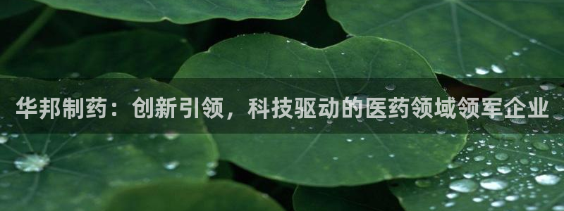 九游老哥俱乐部登录：华邦制药：创新引领，科技驱动的医药领域领军企业