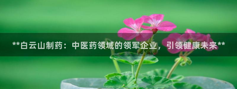 九游老哥俱乐部官网登录不了：**白云山制药：中医药领域的领军企业，引领健康未来**