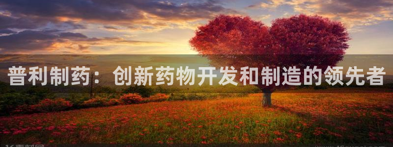 ag九游会老哥：普利制药：创新药物开发和制造的领先者