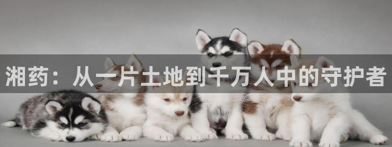 九游会老哥俱乐部社区论坛：湘药：从一片土地到千万人中的守护者