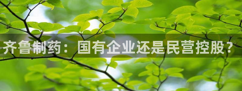 老哥吧九游会下架吗：齐鲁制药：国有企业还是民营控股？