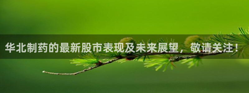 九游会老哥必备的交流社区九：华北制药的最新股市表现及未来展望，敬请关注！