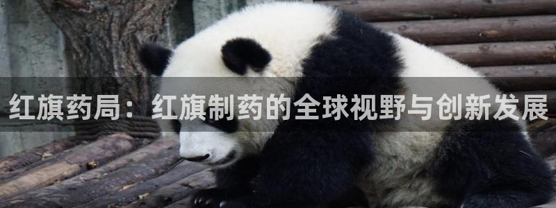 九游老哥俱乐部登录：红旗药局：红旗制药的全球视野与创新发展