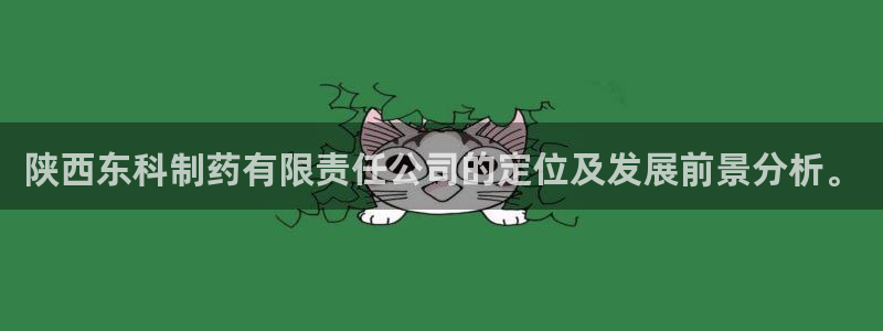 j9九游会老哥俱乐部交流区：陕西东科制药有限责任公司的定位及发展前景分析。