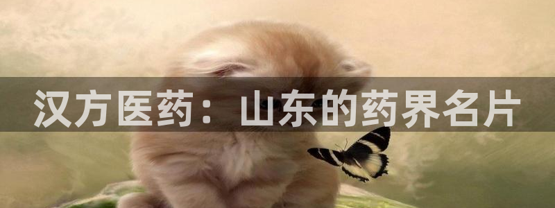 九游会老哥俱乐部必备的交流社区：汉方医药：山东的药界名片