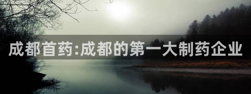 九游老哥俱乐部登录：成都首药:成都的第一大制药企业