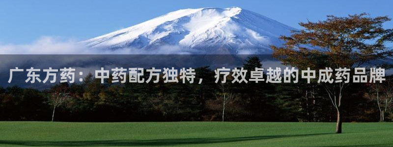 9游会老哥：广东方药：中药配方独特，疗效卓越的中成药品牌