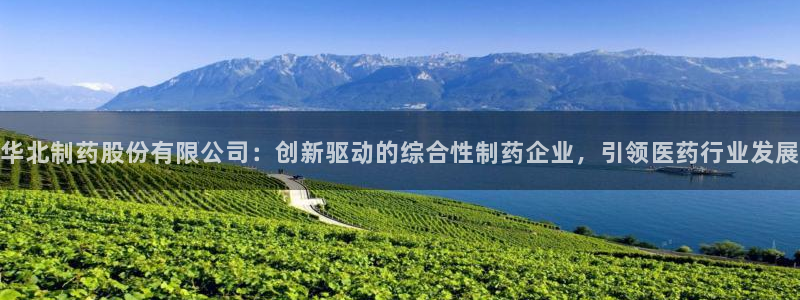 9游会老哥：华北制药股份有限公司：创新驱动的综合性制药企业，引领医药行业发展