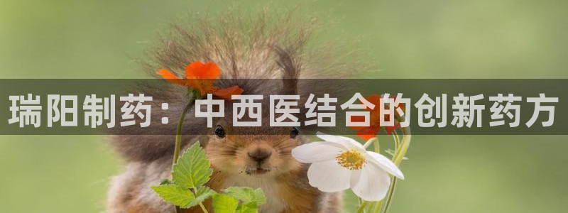 老哥吧九游会下架吗：瑞阳制药：中西医结合的创新药方
