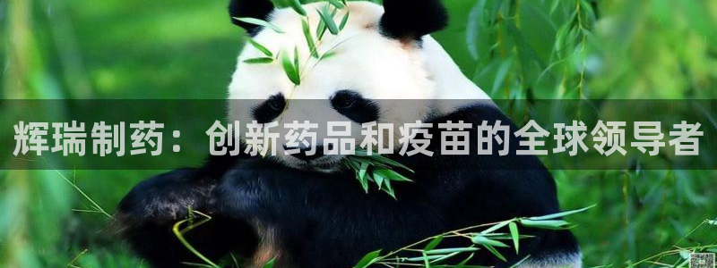 j9九游会老哥俱乐部交流区：辉瑞制药：创新药品和疫苗的全球领导者