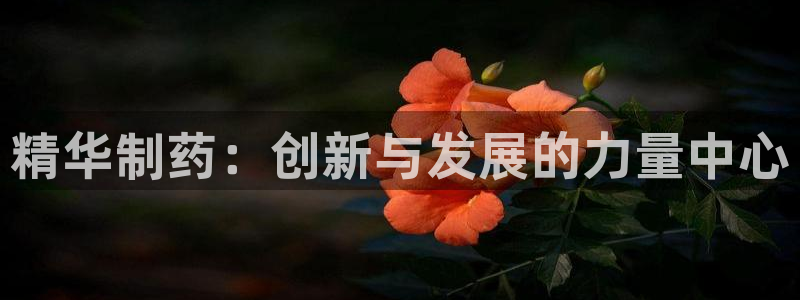 九游会老哥俱乐部必备的交流社区：精华制药：创新与发展的力量中心