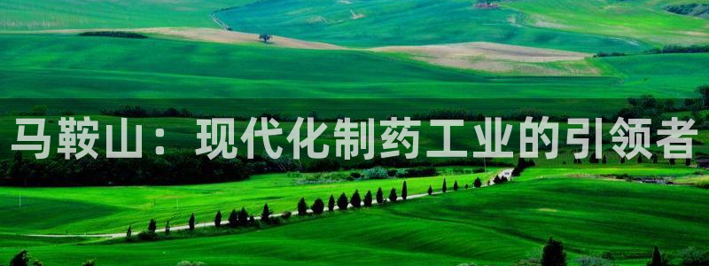 9游会老哥俱乐部：马鞍山：现代化制药工业的引领者
