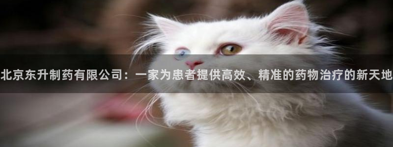 老哥俱乐部是干什么的：北京东升制药有限公司：一家为患者提供高效、精准的药物治疗的新天地