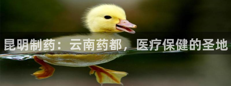 九游会老哥：昆明制药：云南药都，医疗保健的圣地