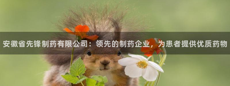 9游会老哥：安徽省先锋制药有限公司：领先的制药企业，为患者提供优质药物