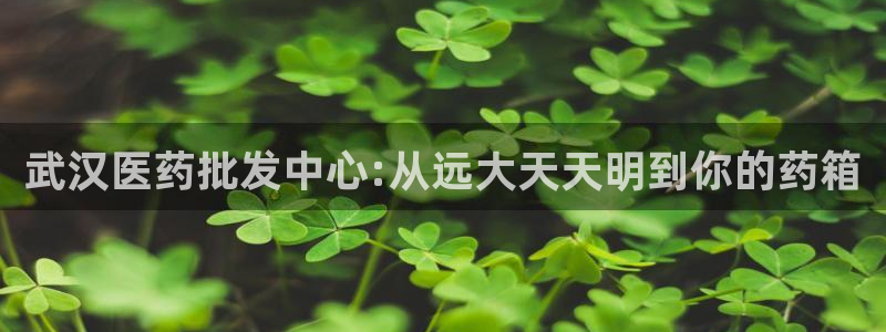老哥吧九游会：武汉医药批发中心:从远大天天明到你的药箱