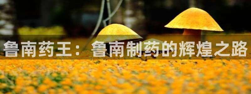 ag九游会老哥：鲁南药王：鲁南制药的辉煌之路