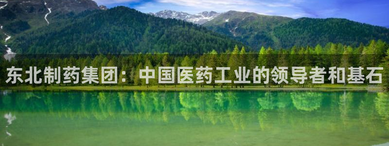 九游老哥俱乐部登录：东北制药集团：中国医药工业的领导者和基石