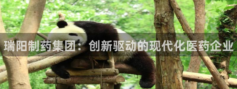 九游老哥俱乐部登录