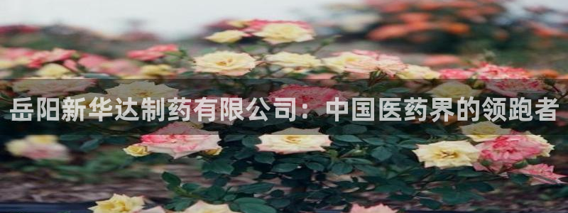 老哥俱乐部是干什么的